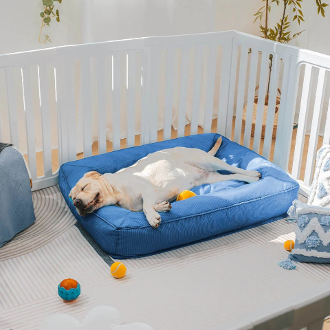 lit pour chien repos reparateur