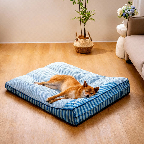 lit pour chien soulagement des articulations