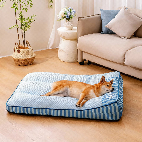 lit pour chien soutien orthopedique confortable
