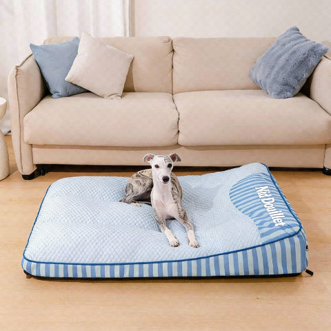 lit pour chien soutien de la colonne vertebrale