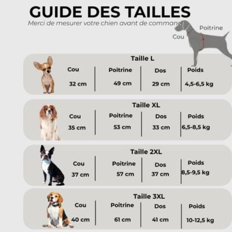 manteau chien Guide des tailles
