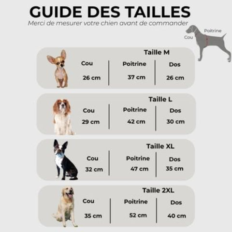 manteau chien denim Guide des tailles