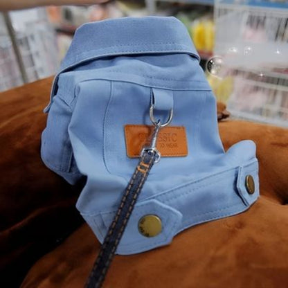 manteau chien denim bleu essentiel