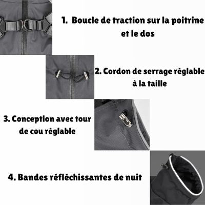 manteau chien display