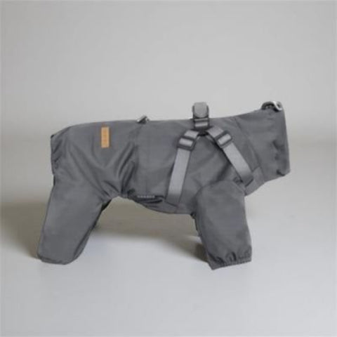manteau chien gris