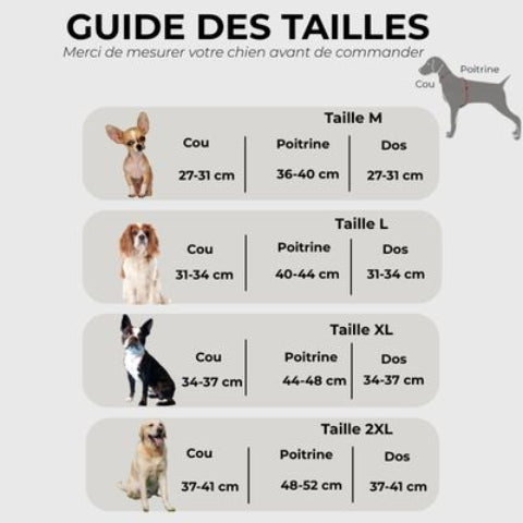 manteau chien hivernal impermeable Guide des tailles 