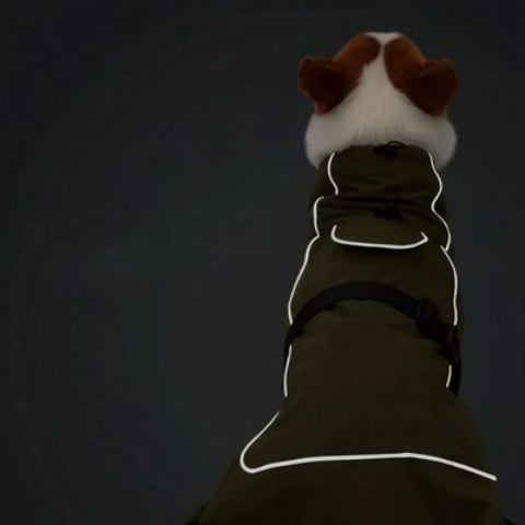 manteau chien impermeable vert visible la nuit
