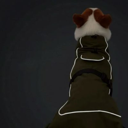 manteau chien impermeable vert visible la nuit
