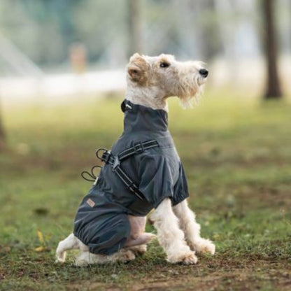 manteau chien noir tres durable