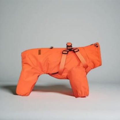 manteau chien orange