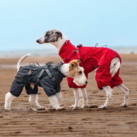 manteau chien rouge de qualite
