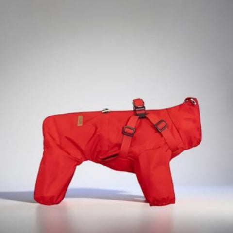manteau chien rouge