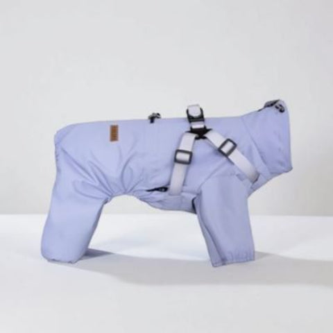 manteau chien violet