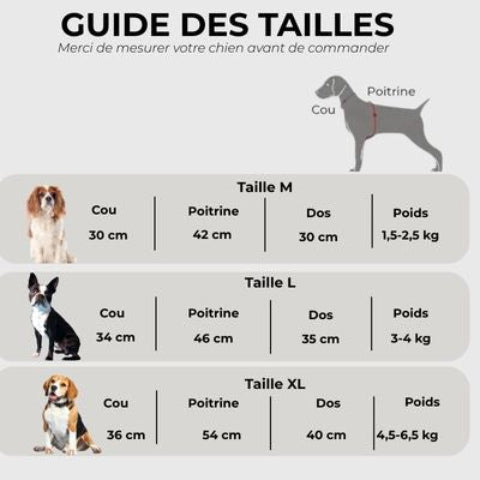 manteau pour chien Guide des tailles