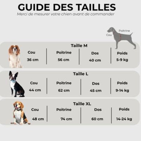 manteau pour chien glowcape Guide des tailles