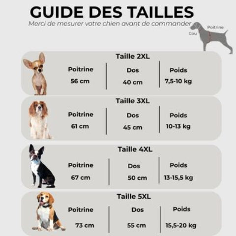 manteau pour chien pawtectpro Guide des tailles