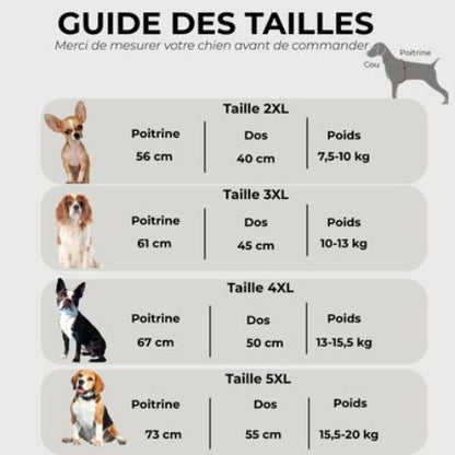 manteau pour chien pawtectpro Guide des tailles