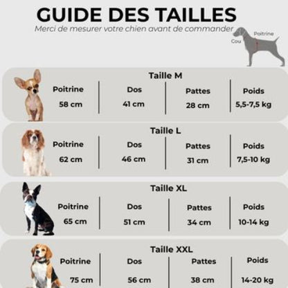 manteau pour chien pluvinou Guide des tailles
