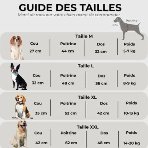 manteau pour chien rainproof Guide des tailles