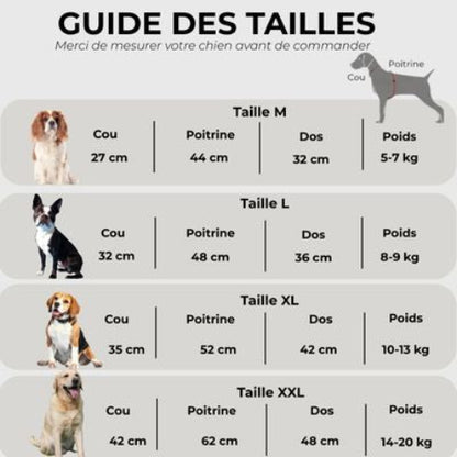 manteau pour chien rainproof Guide des tailles