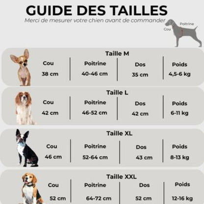 manteau pour chien the dog face Guide des tailles