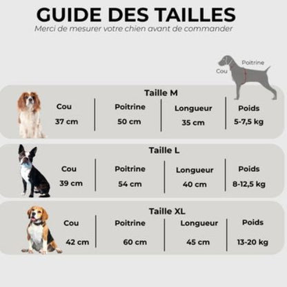 manteau pour chien wetguard Guide des tailles