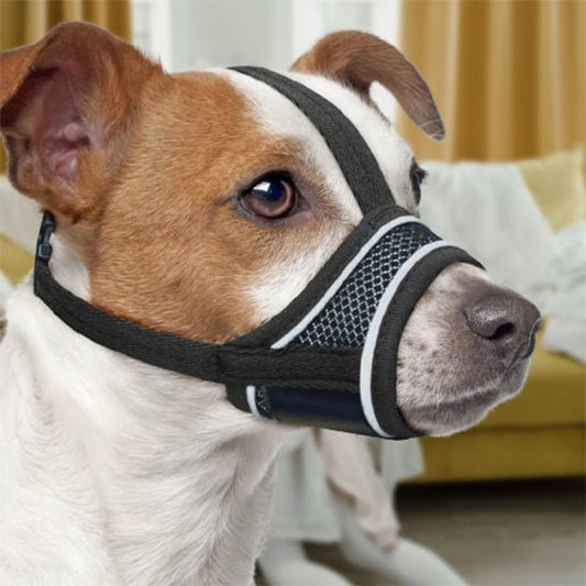 MUSELIERE CHIEN | MAILLE SERRÉE - Les chiens beaux