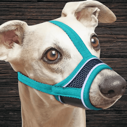 MUSELIERE CHIEN | MAILLE SERRÉE - Les chiens beaux