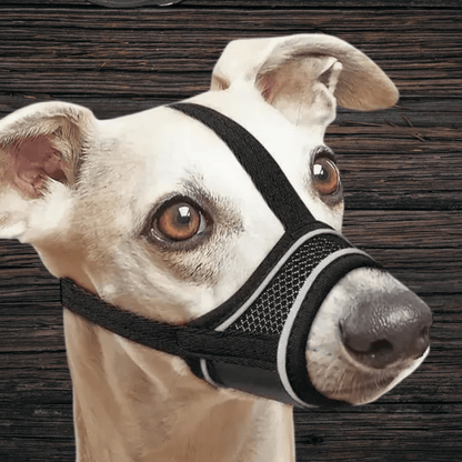MUSELIERE CHIEN | MAILLE SERRÉE - Les chiens beaux
