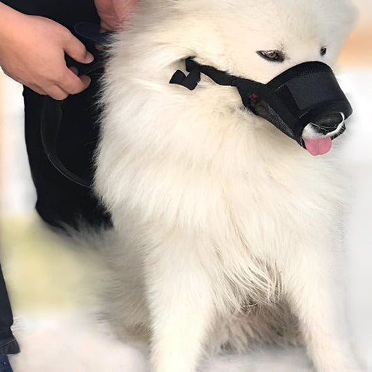 Muselière chien | Masque en Maille - Les chiens beaux
