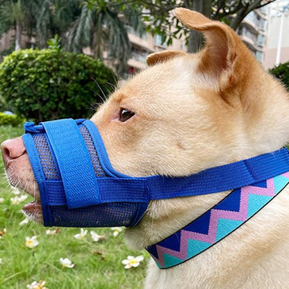 Muselière chien | Masque en Maille - Les chiens beaux
