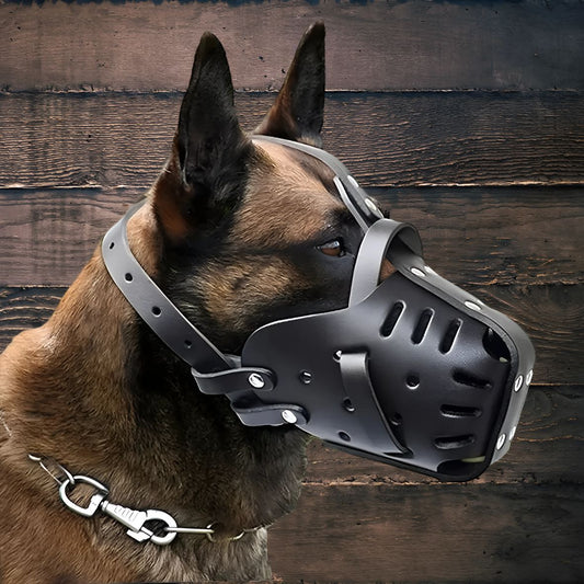 MUSELIERE EN CUIR | CAGE BUCCALE - Les chiens beaux