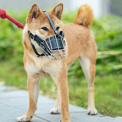 Muselière pour chien | Cuir et Métal - Les chiens beaux