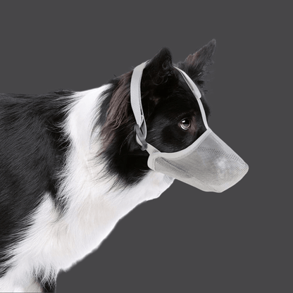 Muselière pour chien | Maille douce - Les chiens beaux
