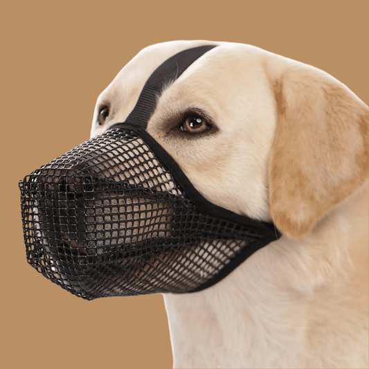 Muselière pour chien | Maille douce - Les chiens beaux