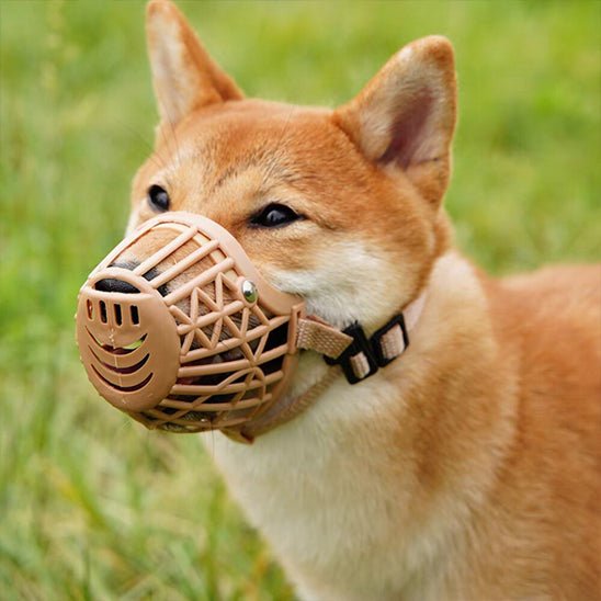 MUSELIERE POUR CHIEN | MASQUE BUCCAL - Les chiens beaux