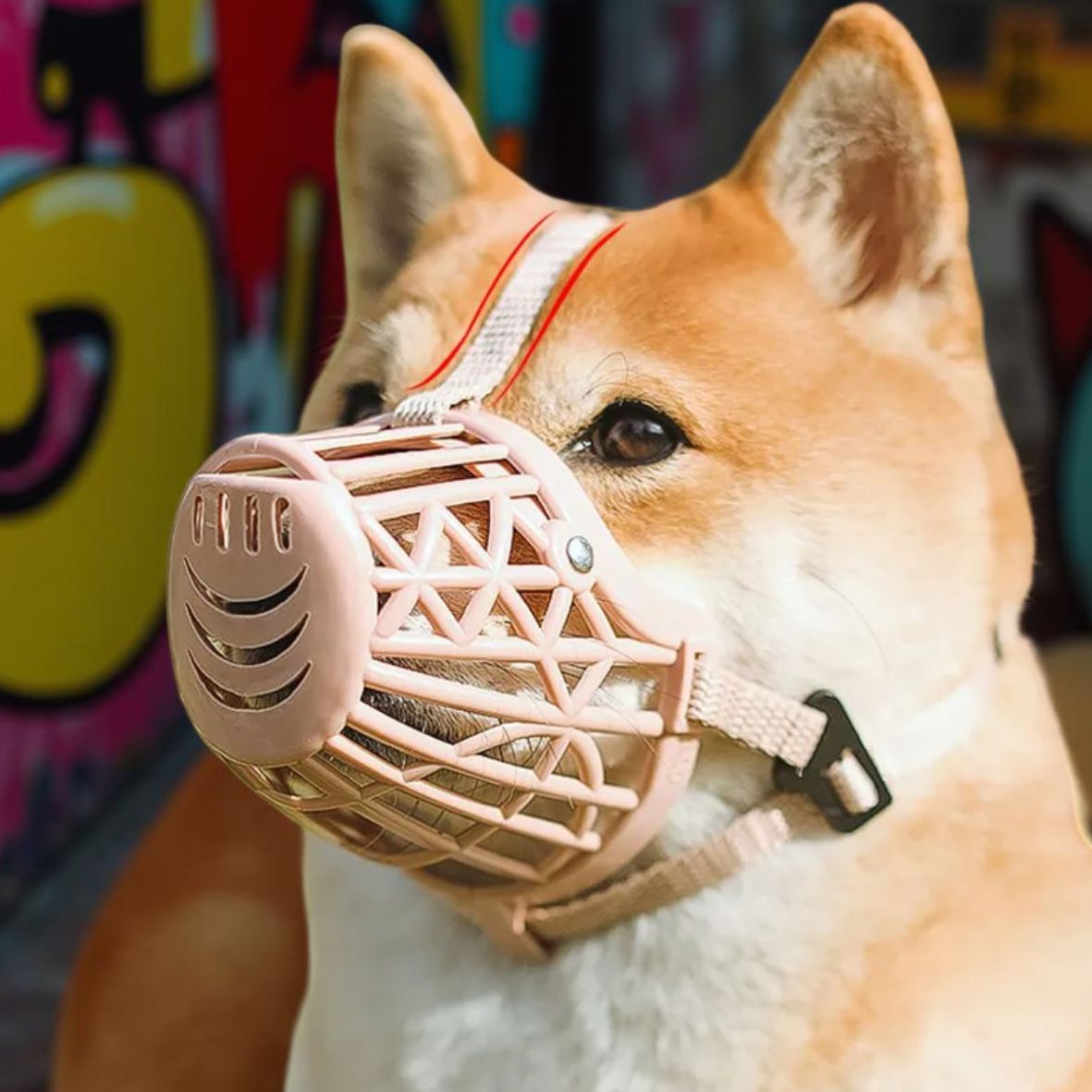 MUSELIERE POUR CHIEN | MASQUE BUCCAL - Les chiens beaux