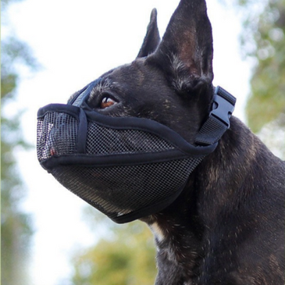 museliere pour chien noire parfaite