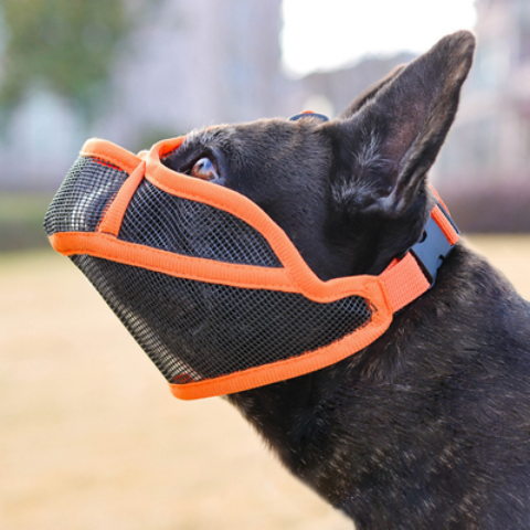 museliere pour chien orange belle