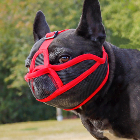 museliere pour chien rouge douce
