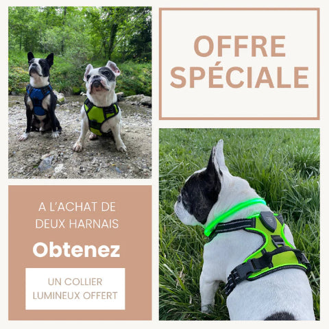 offre du moment du harnais chien LED lumineux