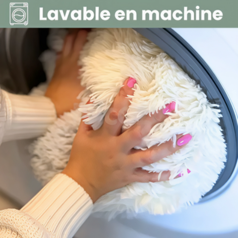 Panier chien lavable en machine