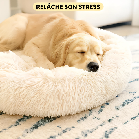 Panier pour chien | DouxNid™