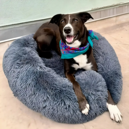 Panier pour chien | DouxNid™