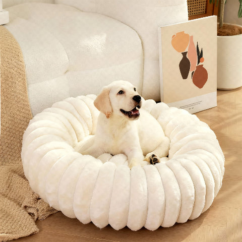 panier pour chien blanc
