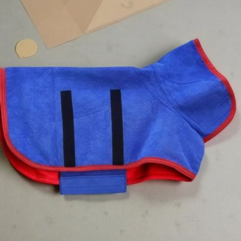 peignoir pour chien bleu