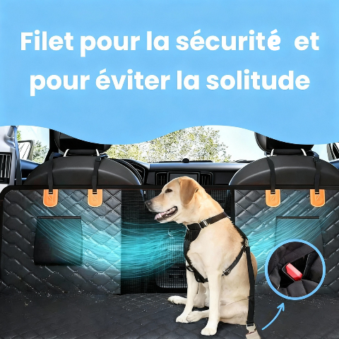 protection voiture chien anti solitude