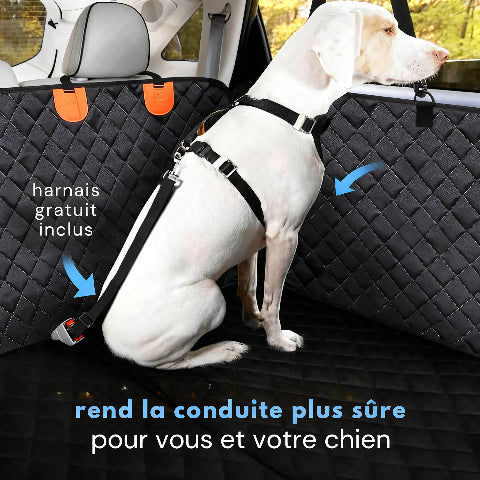 protection voiture chien confortable pour les voyages