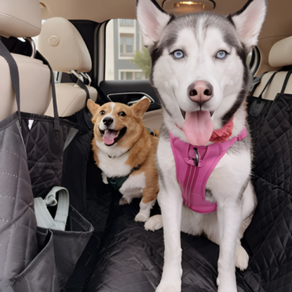 protection voiture chien confortable