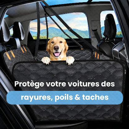 protection voiture chien protection de la voiture